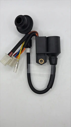 IGNITION COIL ASSEMBLY (98cc)