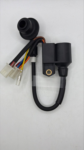 IGNITION COIL ASSEMBLY (98cc)