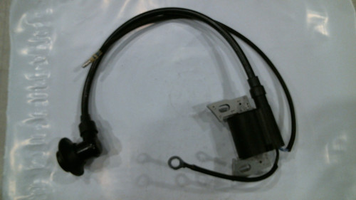 Ignition Coil (iGEN1200)
