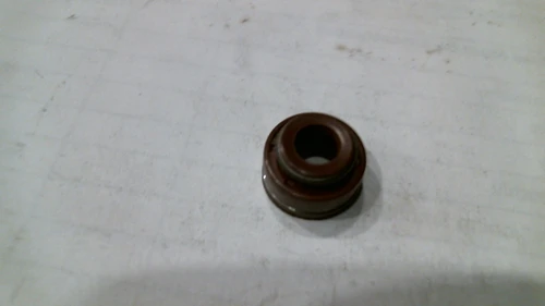 Valve Oil Seal (457cc)