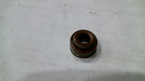 Valve Oil Seal 