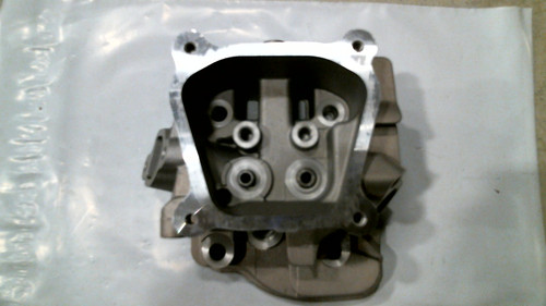 CYLINDER HEAD (224cc)