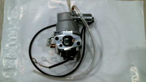 CARBURETOR ASSEMBLY (224cc) DF