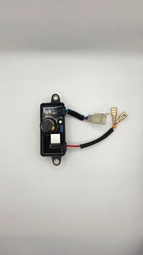 AUTOMATIC VOLTAGE REGULATOR ASSEMBLY (WGen3600v)

