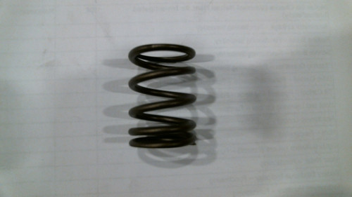 Valve Spring (420cc)