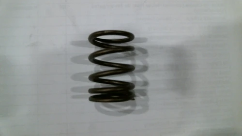 Valve Spring (420cc)
