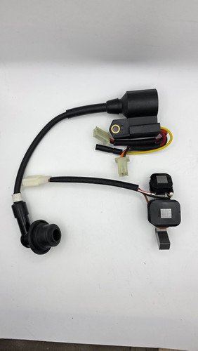 IGNITION COIL ASSEMBLY (80cc)