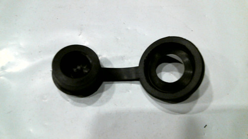 Gas inlet plug.