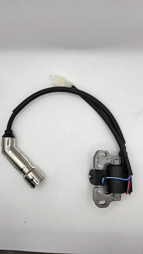 IGNITION COIL ASSEMBLY (420cc)