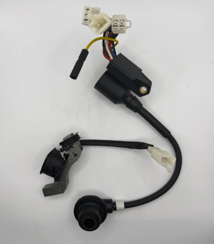 IGNITION COIL, MAGNETO IGNITOR ASSEMBLY (98cc)