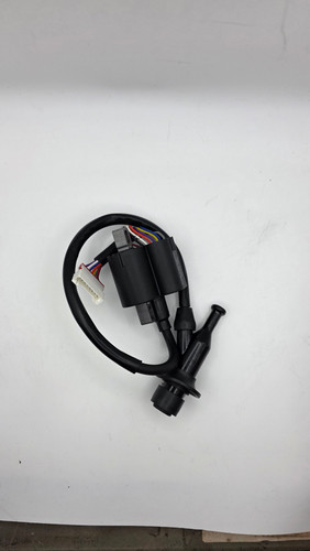 IGNITION COIL ASSEMBLY (298cc)