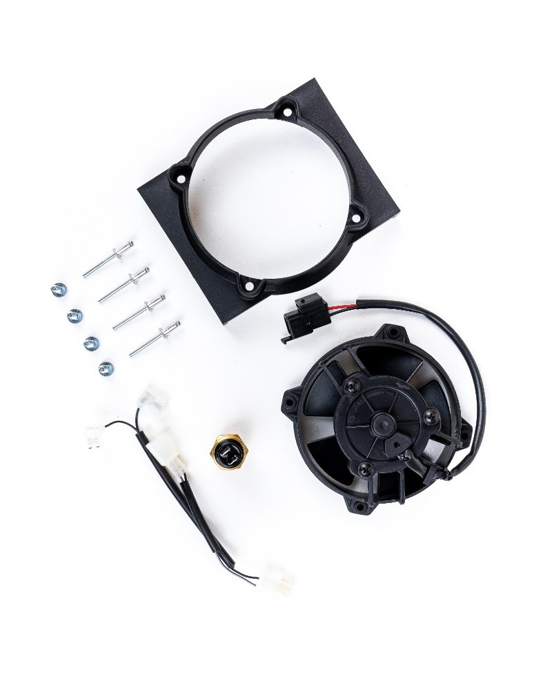 BETA Original SPAL Radiator Fan and Mounting Kit with Thermoswitch ...