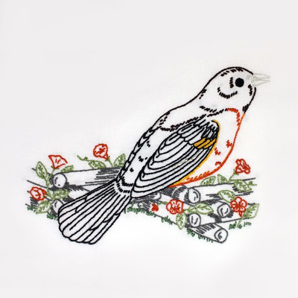 Aunt Martha’s #3534 Birds Galore iron-on embroidery transfer pattern featuring seven vintage bird designs perched on fences for days-of-the-week tea towels.