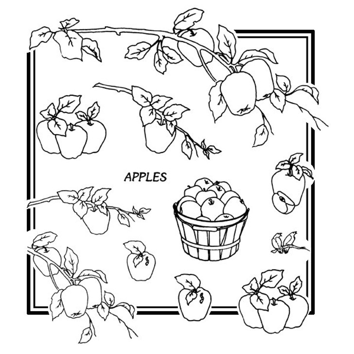 Aunt Martha's #3953 Apples Galore