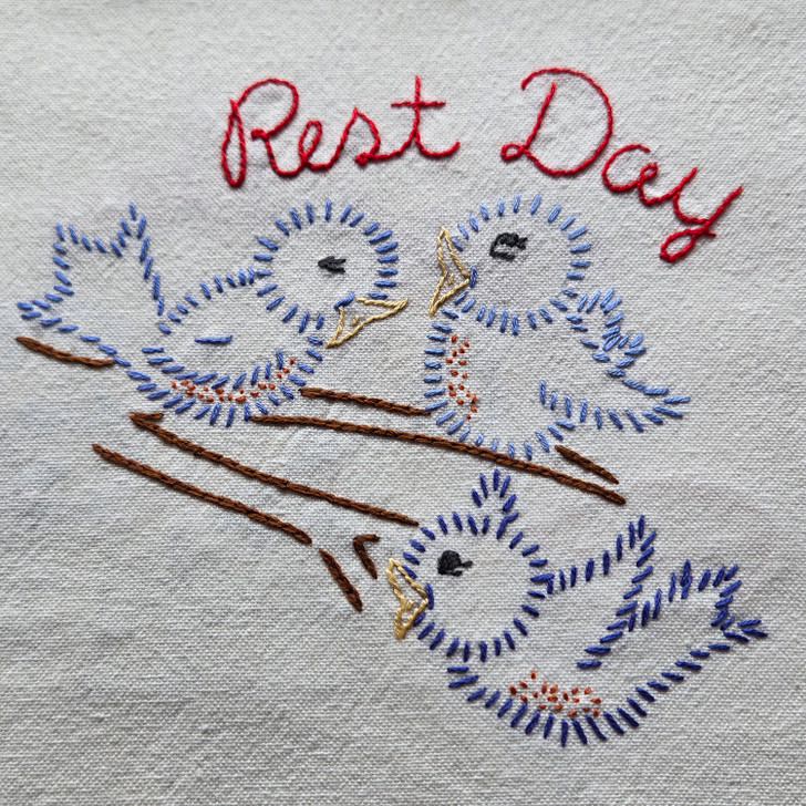 Aunt Martha's® Iron-on Embroidery Transfer Pattern #4014 Baby Chicks - Rest Day