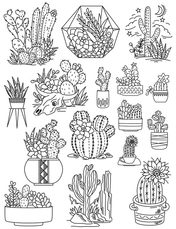 Stitcher's Revolution® Hand Stitch Iron-on Embroidery Transfer Pattern #SR29 Desert Bloom.