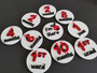 Ladybug Baby Milestones Set (Acrylic)
