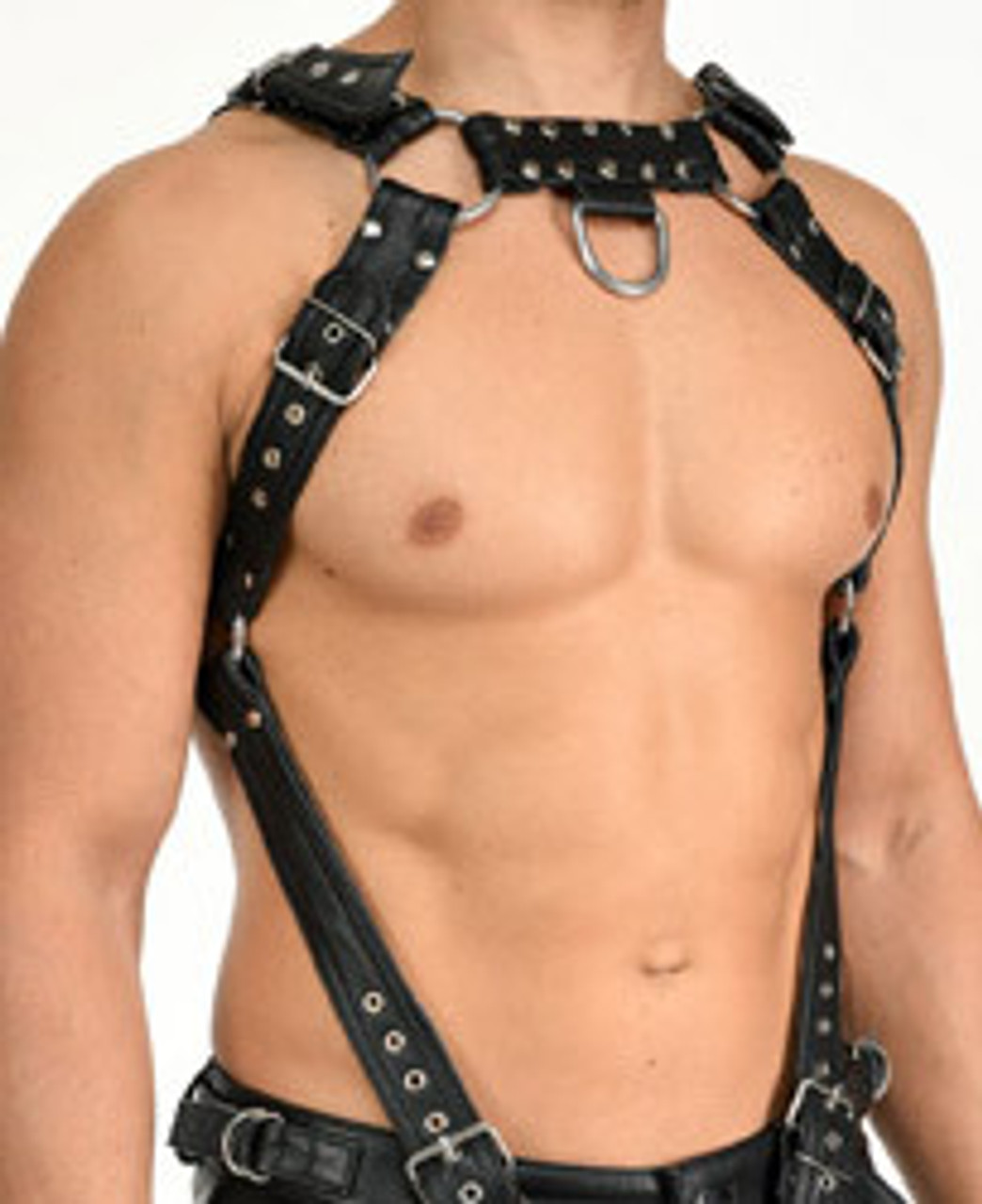 Harness