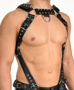 Harnesses