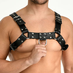 Harnesses