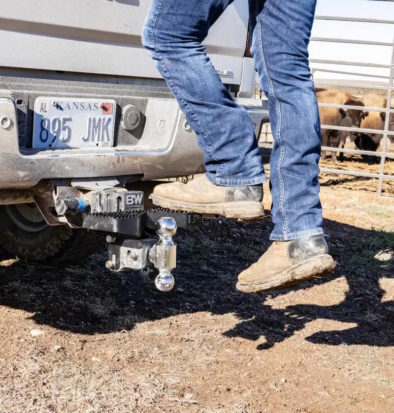 Hitch Step — side view