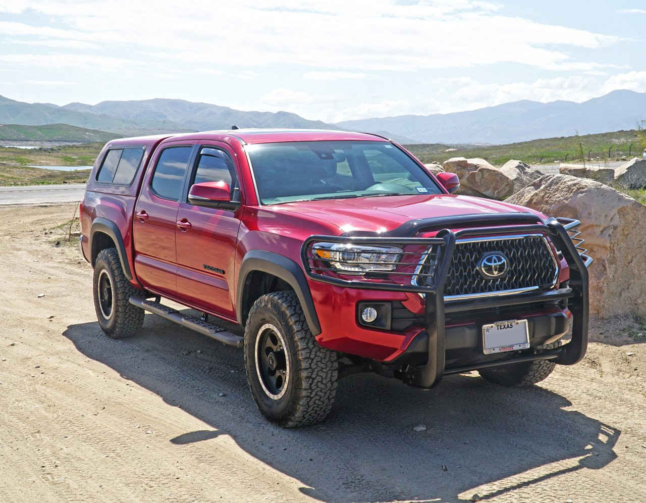 Grille Guard - Black (53420)