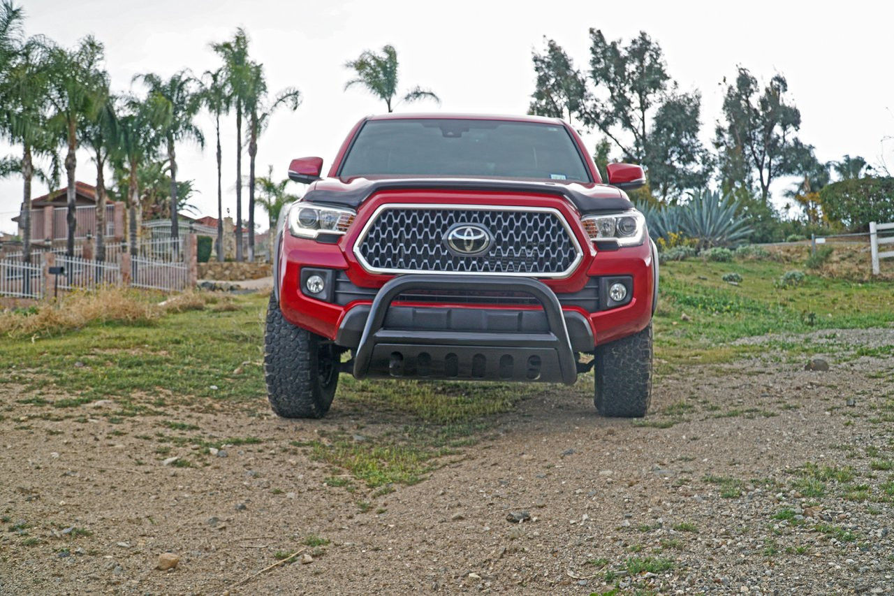 Bull Bar - Black (73030B) — primary image