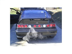 Euro Style Tail Lights - Black (5005120) — installed view