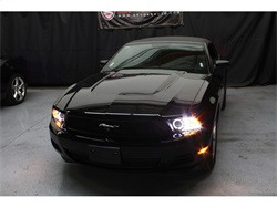 Projector Headlights - LED Halo - Black (5010445) — installed view