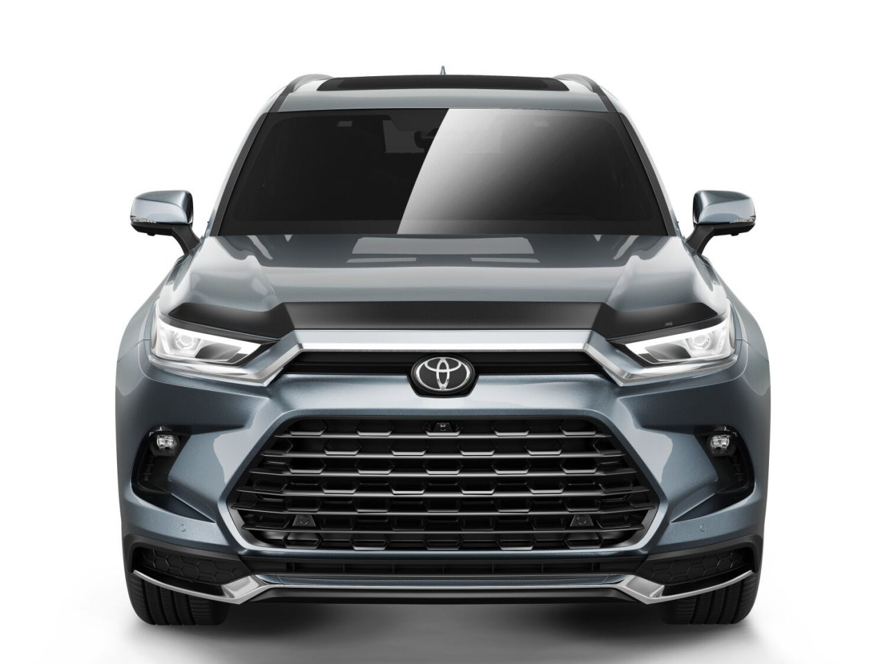 Aeroskin Hood Protector; Smoke (2842247) — installed view