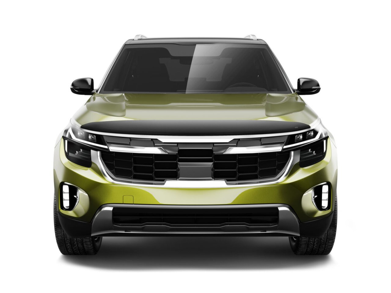 Aeroskin Hood Protector; Smoke (2842249) — installed view