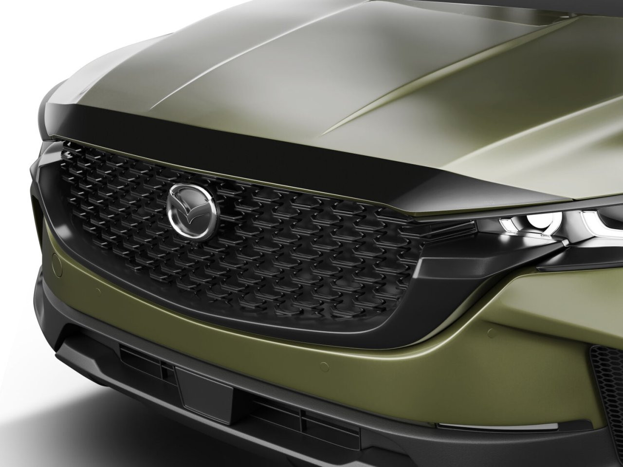 Aeroskin Hood Protector; Smoke (2842250) — primary image