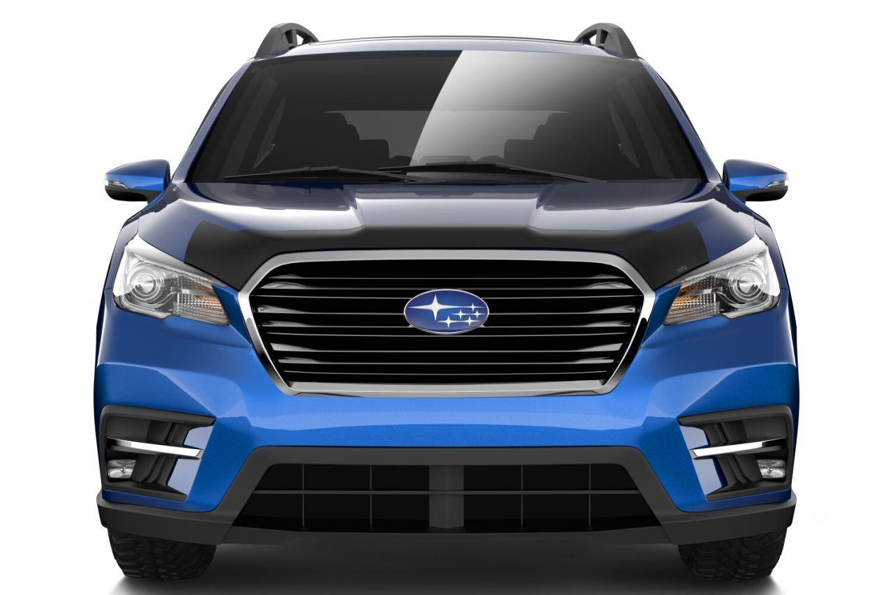 Aeroskin Hood Protector; Smoke (2842220) — application image