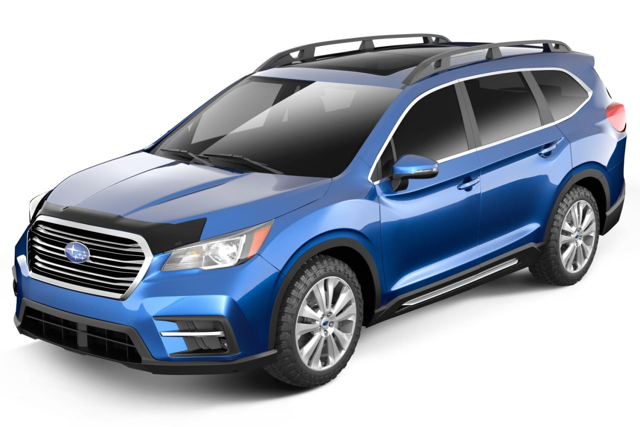 Aeroskin Hood Protector; Smoke (2842220) — installed view