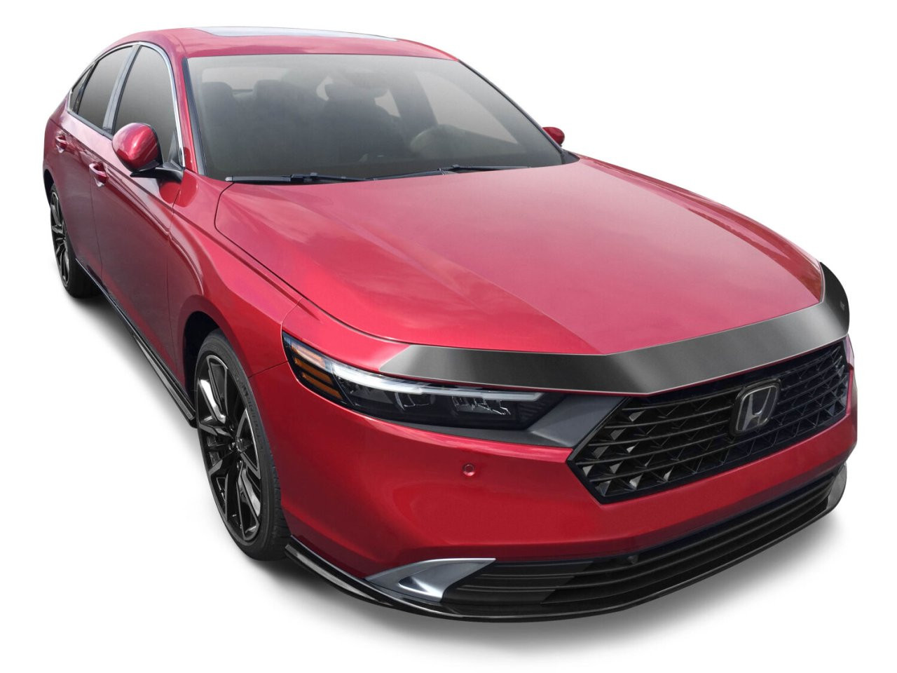 Aeroskin Hood Protector; Smoke (2842264) — primary image