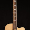 Gibson Songwriter Standard EC Rosewood (050)