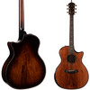 Taylor Builder's Edition 914ce Honduran Rosewood w/Sinker Redwood Top (099)