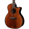 Taylor Builder's Edition 914ce Honduran Rosewood w/Sinker Redwood Top (099)