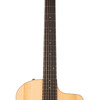 Taylor 214ce-N Nylon String.  Walnut w/Torrefied Spruce (121)