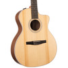 Taylor 214ce-N Nylon String.  Walnut w/Torrefied Spruce (121)