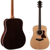 Taylor Legacy 810e (023)