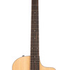 Taylor 212ce (352)