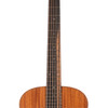 Taylor GS Mini Mahogany (158)
