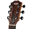 Taylor GS Mini Mahogany (158)