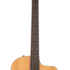Taylor 214ce (351)