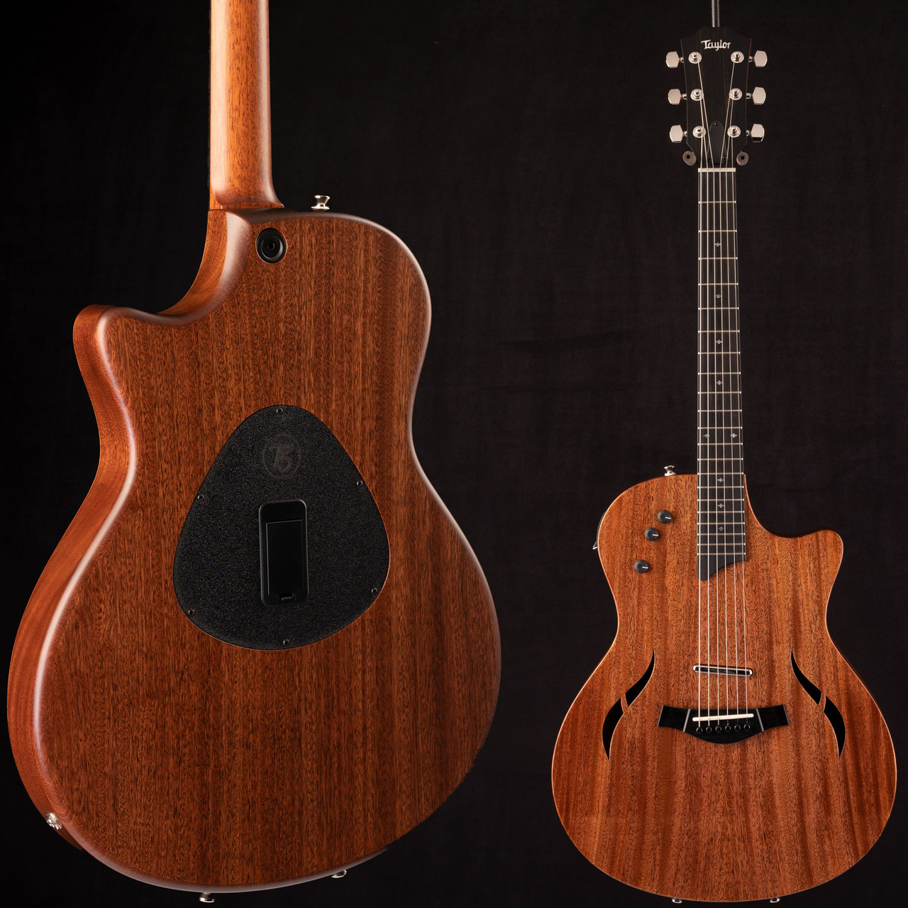 taylor guitars t5