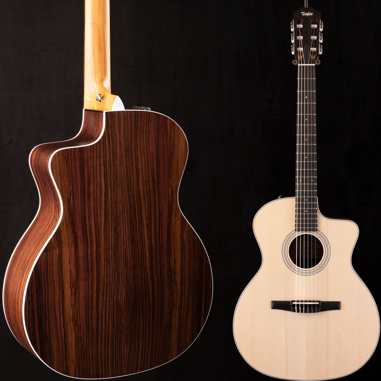 Taylor 214ce-N Nylon 101