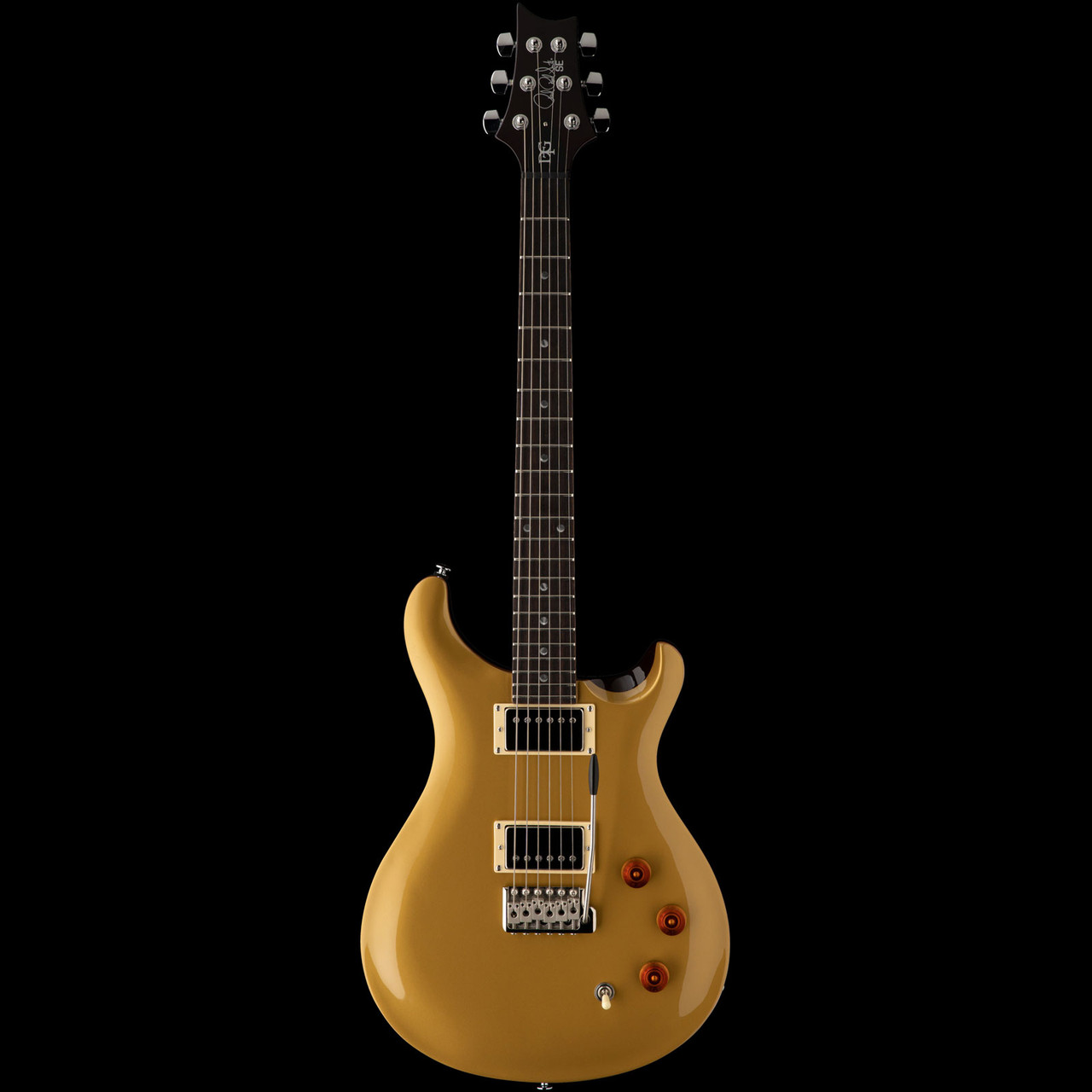 Pre-Order PRS SE DGT 