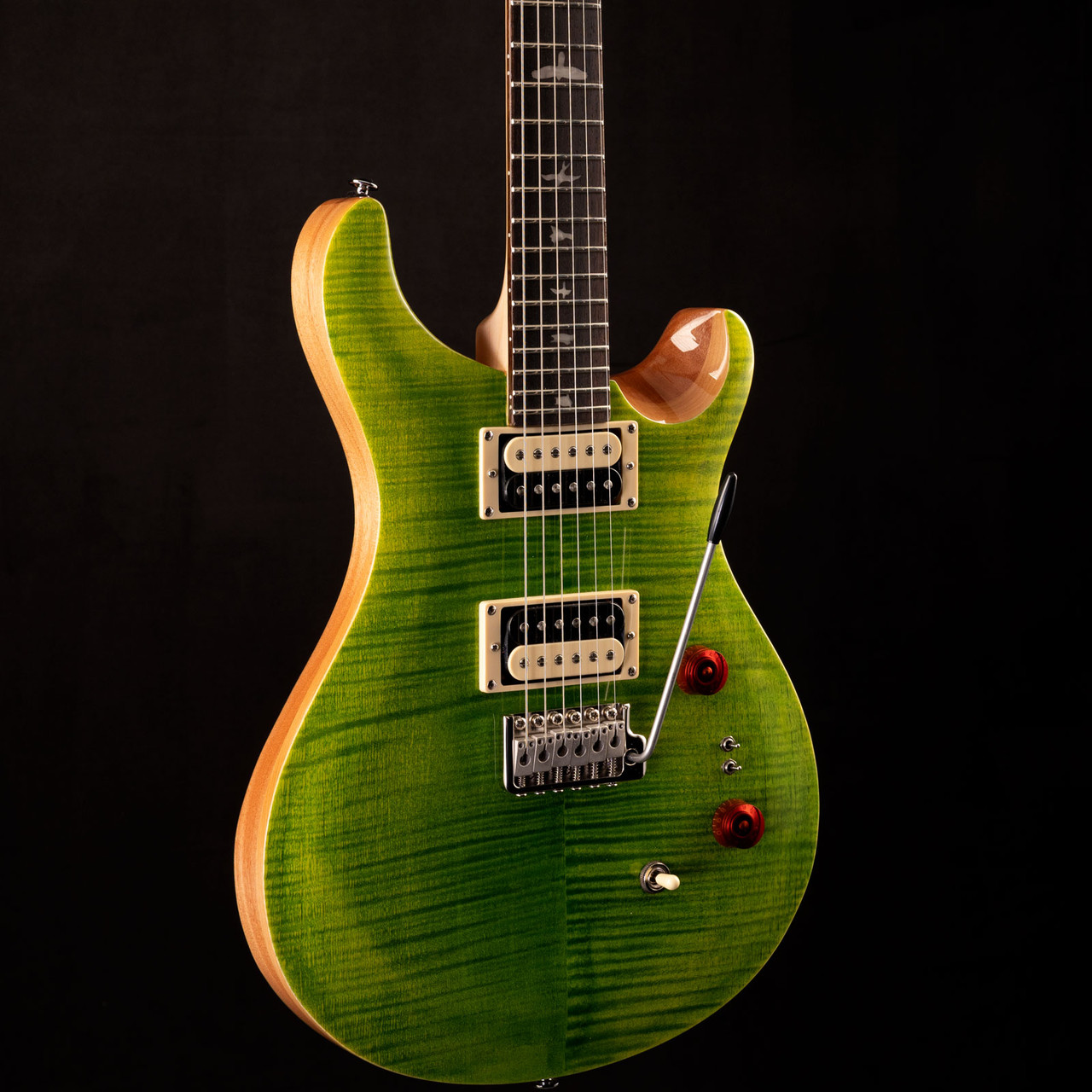 PRS SE Custom 24-08 Eriza Verde 989