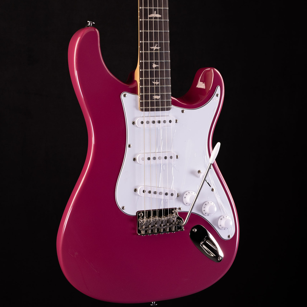 Fender Stratocaster Ultra and PRS Silver Sky — That Guitar Lover